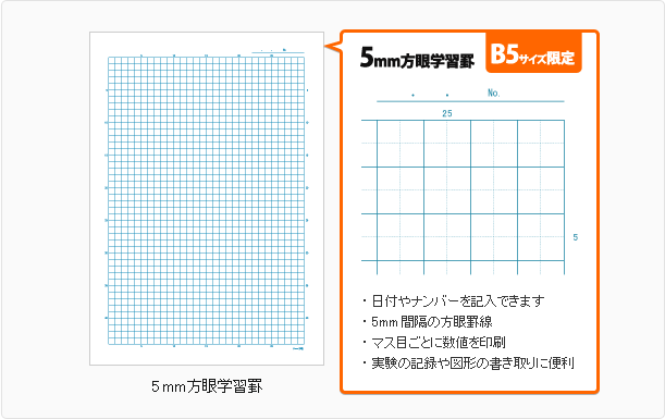 5mm方眼学習罫