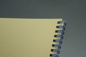ロシュ・ダイアグノスティックス株式会社　様オリジナルノート リングはディープブルー。台紙はクラフト台紙。