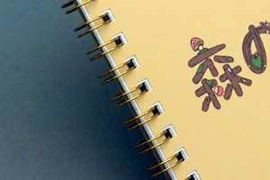 株式会社東芝　様オリジナルノート リングカラーは「メタリックゴールド」