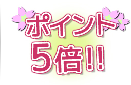 ポイント5倍！！