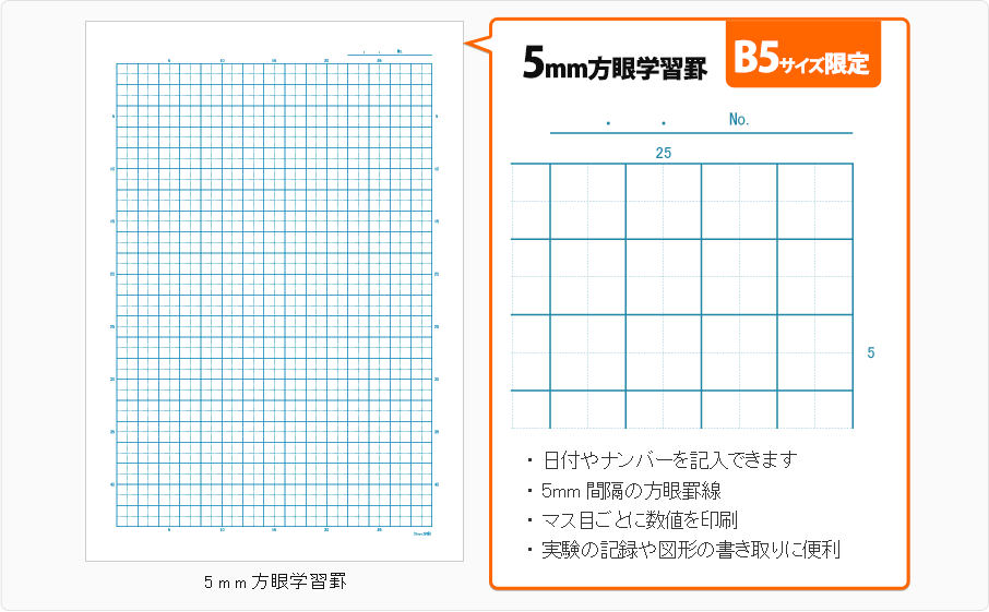 B5サイズ限定 5mm方眼学習罫