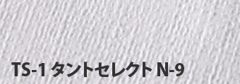 TS-1 タントセレクト N-9