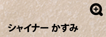 シャイナー かすみ